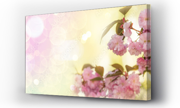 Wizualizacja Obrazu : #348888539 pastelowe t?o z kwiatami drzew ogrodowych