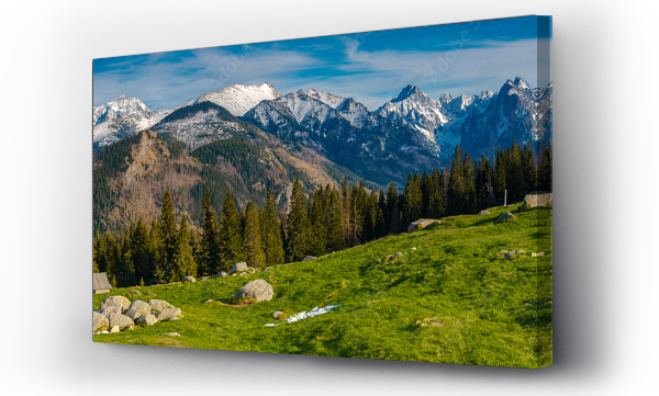 Panorama Tatr z Rusinowej Polany - Tatry Wysokie