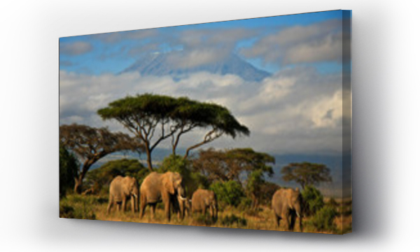 Rodzina słoni przed Mt. Kilimandżaro