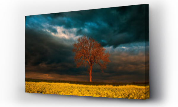 Wizualizacja Obrazu : #349882439 Samotne Drzewo Na Tle Burzowych Chmur