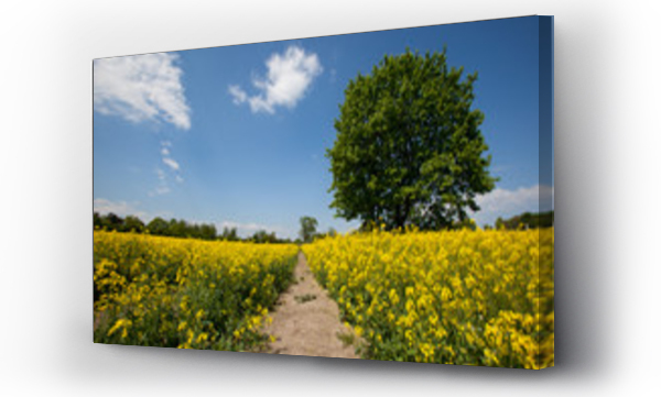 pejzaż, Pejzaż wiejski