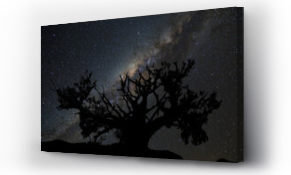 drzewo, gwiazd, księżyc, planety