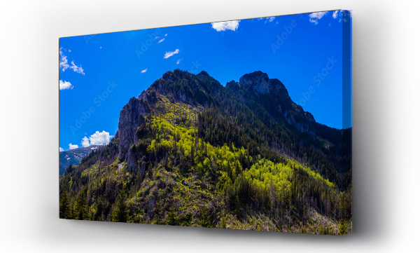 Wizualizacja Obrazu : #356242571 Dolina Ko?cieliska w Tatrach Zachodnich w Tatrza?skim Parku Narodowym