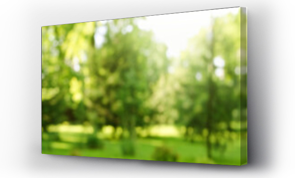 Wizualizacja Obrazu : #356561481 Blur defocused park garden tree in nature background