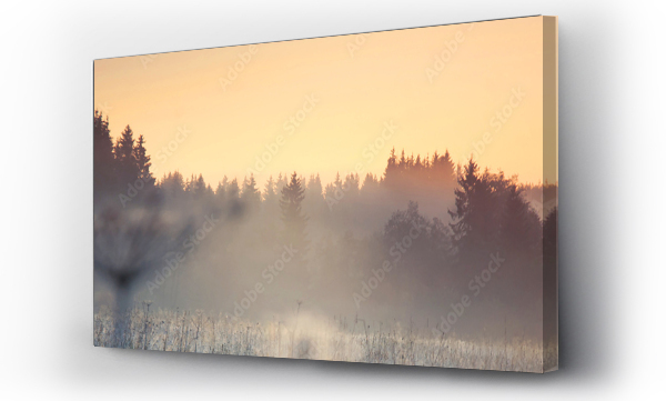 biały drewno, pejzaż