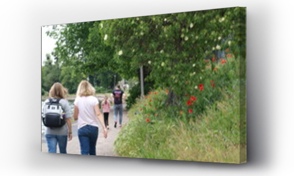 drzewa kwitnące, ludzie