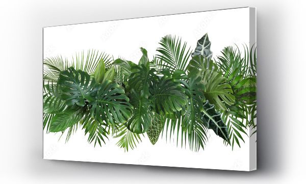 Wizualizacja Obrazu : #357512139 Different fresh tropical leaves on white background. Banner design