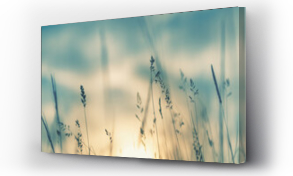 Dzika trawa w lesie o zachodzie słońca. Makro obraz, płytka głębia ostrości. Abstrakcyjne letnie tło przyrody. Vintage filtr