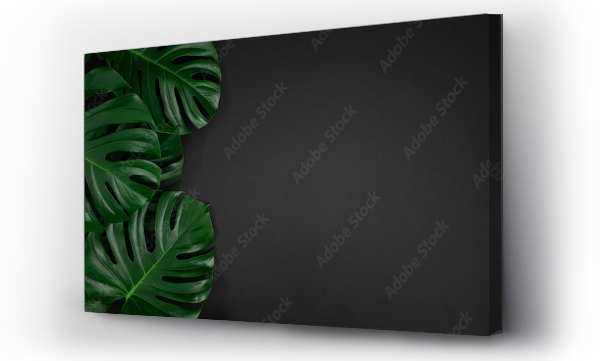 Wizualizacja Obrazu : #358654045 Ttropical monstera leaves on abstract black background with copy space