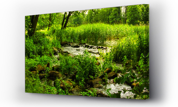 Liście, pejzaż, trawy