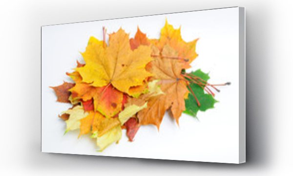 jesienne, jesienne liście, Liście