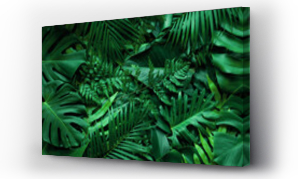 Wizualizacja Obrazu : #359944512 closeup nature view of tropical green monstera leaf and palms background. Flat lay, fresh wallpaper banner concept
