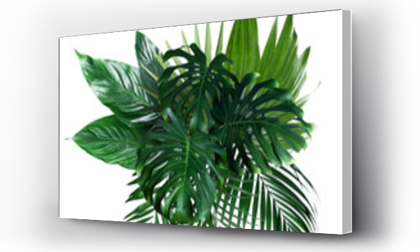 Wizualizacja Obrazu : #360270774 Different fresh tropical leaves on white background