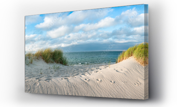 Wizualizacja Obrazu : #361038687 Dune beach at the North Sea coast, Sylt, Schleswig-Holstein, Germany