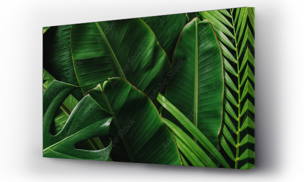 Creative tropikalne zielone liście banan, palma, monstera i układ fean. Natura wiosna pojęcie. Płaska warstwa.