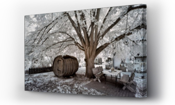 Wizualizacja Obrazu : #36175859 tree and wine