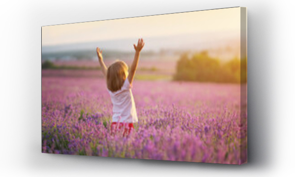 Wizualizacja Obrazu : #362334077 Little girl enjoy nature on meadow of lavender.