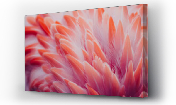 Wizualizacja Obrazu : #363450866 Beautiful close-up of the feathers of a pink flamingo bird. Creative background. 