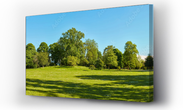 Panorama, park