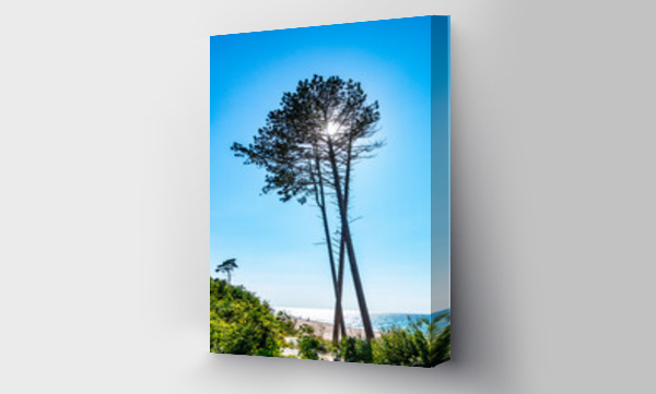 fototapeta morze, morze, plaża