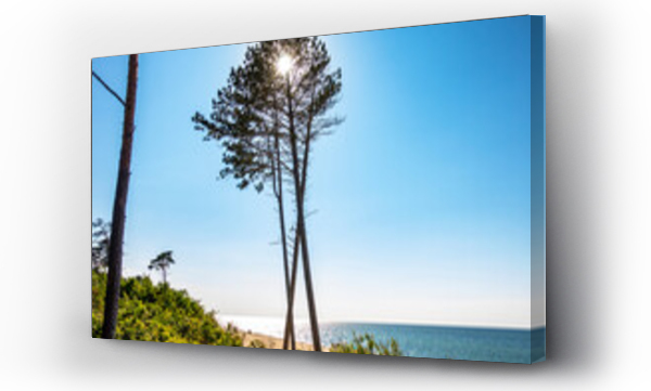 Bałtyk, drzewo, fototapeta morze, plaża