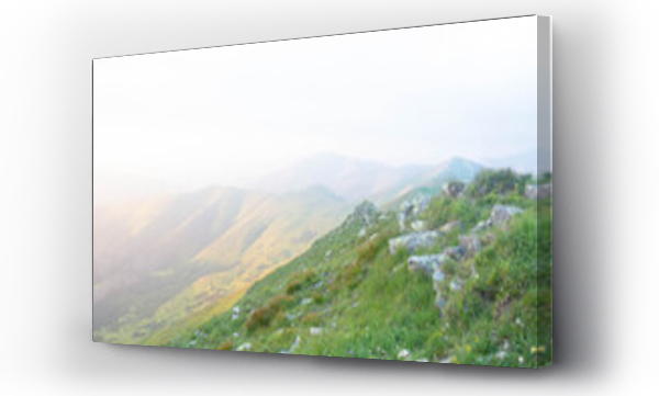 Wizualizacja Obrazu : #367481159 Tatry Krajobraz i Zwierz?ta