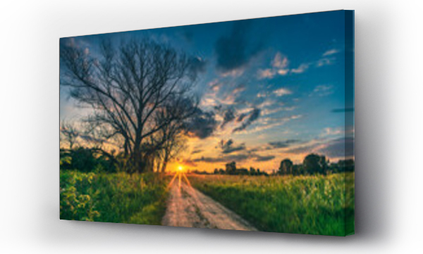 drzewo, drzewo niebo