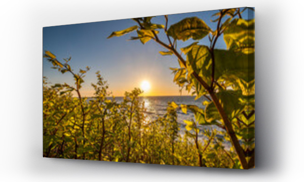 plaża, Plaża ocean