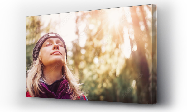 charakter, natura, obóz, park, spokojny