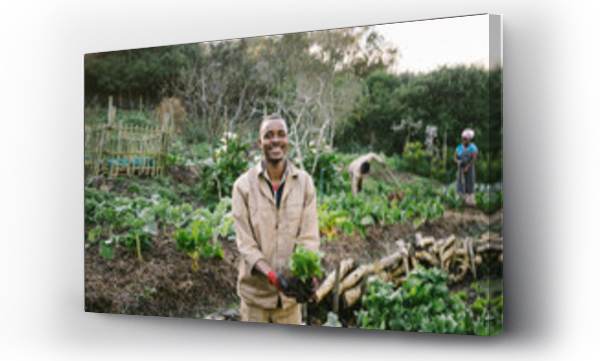 Wizualizacja Obrazu : #369978616 Fresh Farm Produce