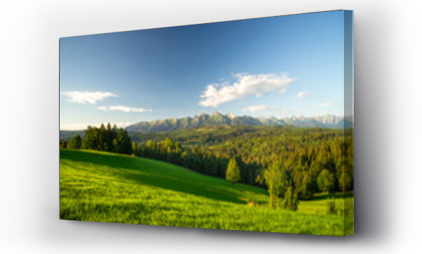 Panorama Tatr, pejzaż, łąka