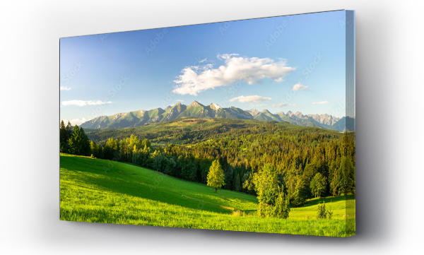 góry, góry karpaty, las, Panorama Tatr, pejzaż, łąka