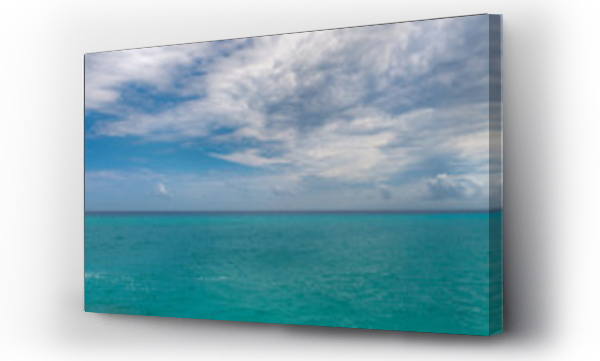 morze, włochy drzewa