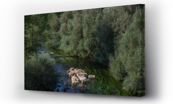 Wizualizacja Obrazu : #371505380 rzeka owce zwierz?ta natura drzewa woda ro?liny