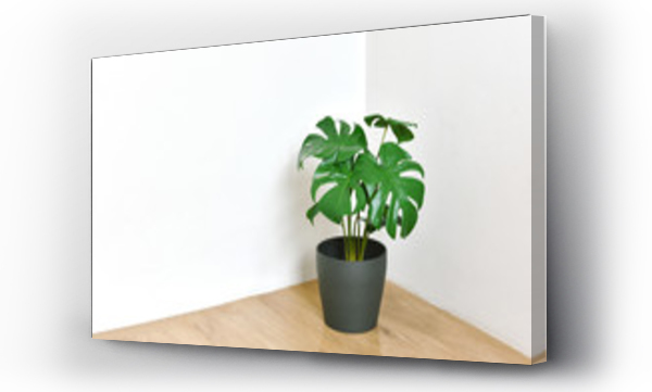 Sztuczna roślina, Philodendron monstera posadzone na rogu pokoju, Indoor tropikalnych roślin domowych dla domu i wnętrza salonu.