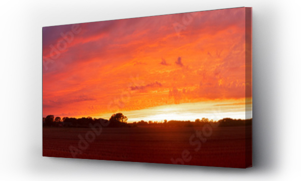 Abstrakcja, drzewo, drzewo niebo, pejzaż