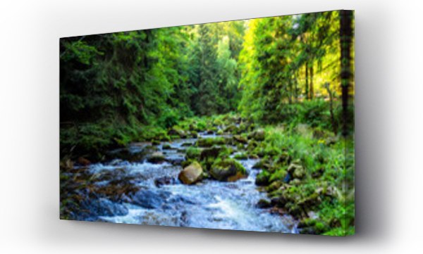 drzewa, fototapeta, las, Las rzeka, rzeka, Woda