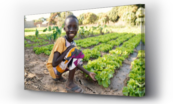 Żywność dla Afryki! Młody czarny chłopiec uśmiechnięty przed polem sałaty