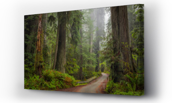 Wizualizacja Obrazu : #376795857 Scenic view of road passing through forest