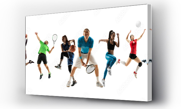 Wizualizacja Obrazu : #381359852 Collage of different professional sportsmen, fit men and women in action and motion isolated on white background. Made of 7 models. Concept of sport, achievements, competition, championship.