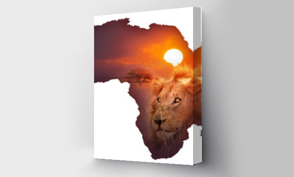 Mapa dzikiej przyrody w Afryce