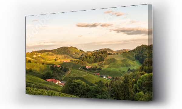 Wizualizacja Obrazu : #383037058 Sunset panorama of wine street on Slovenia, Austria border in Styria. Fields of grapevines.