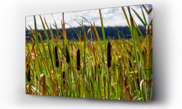 dolina narwi, Krajobrazy