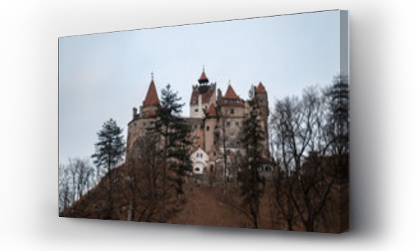 Wizualizacja Obrazu : #388890651 Bran castle, Dracula, Transylvania, Romania