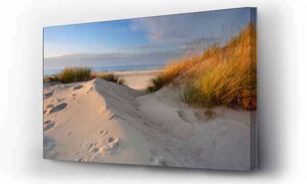 morze, plaża, polskie morze, trawa piasek