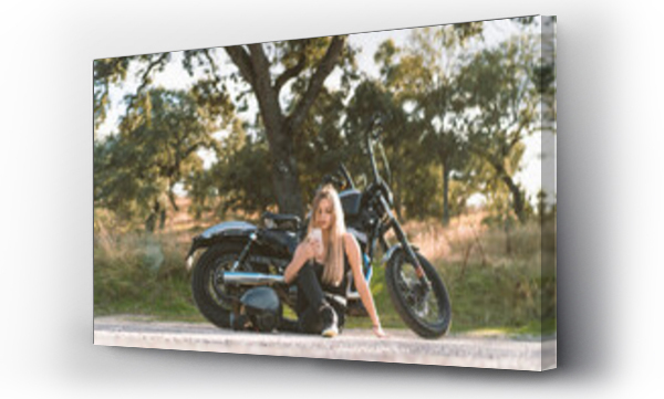Wizualizacja Obrazu : #393434265 Blond female biker using smart phone while sitting against motorcycle on roadside