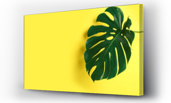 Wizualizacja Obrazu : #393454832 Beautiful monstera leaf on yellow background, space for text. Tropical plant
