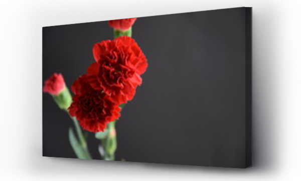 Wizualizacja Obrazu : #393923851 Carnations red flowers on dark background czerwone go?dziki kwiaty na ciemnym tle