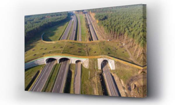 kolej, pomoc, zwierzęta