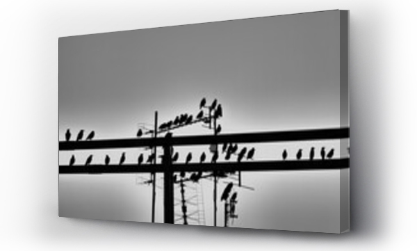 Czarno białe, miasto